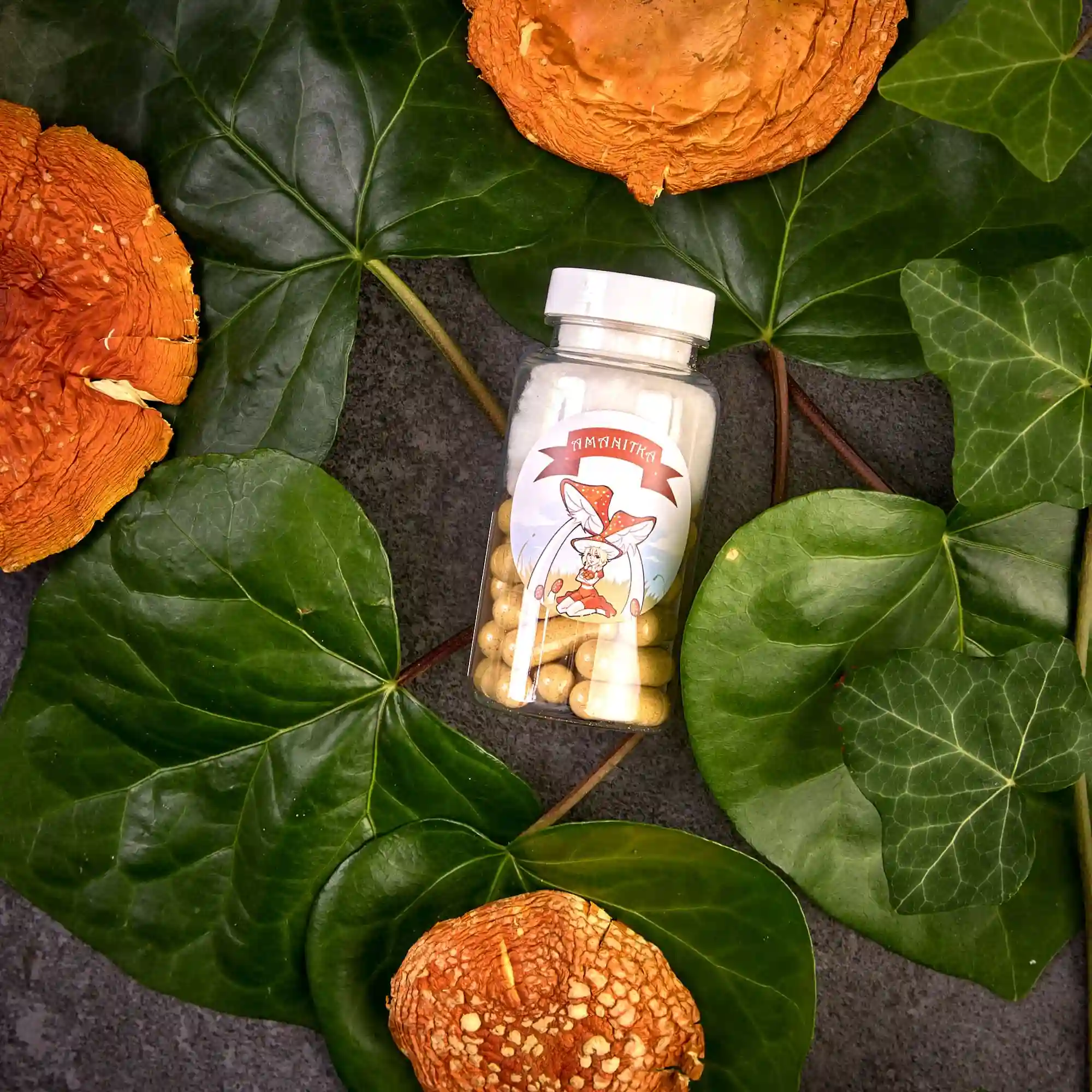 Amanita muscaria - muchomory czerwone. Mikrodawkowanie, kapsułki, suszone produkty. Sklep.